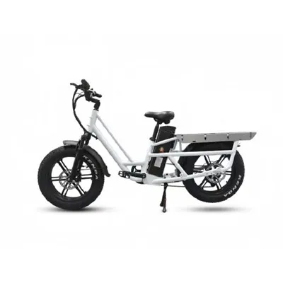 Longtail-Essenslieferungs-Elektrofahrrad